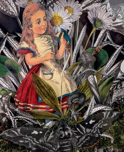 'Wonderland: Alice'